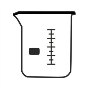 beaker low form with spout astm